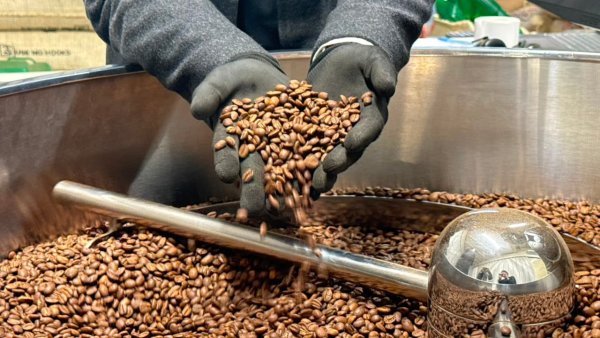Día Internacional del Café: Las cifras al alza de su consumo en Chile y el mundo