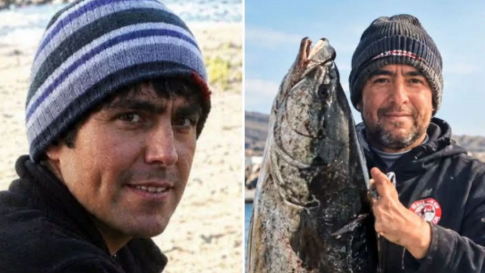 Impacto por desaparición de buzo en Atacama: Sospechan ataque de tiburón
