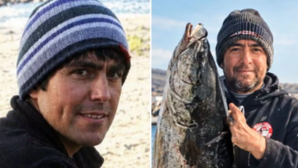 Impacto por desaparición de buzo en Atacama: Sospechan ataque de tiburón