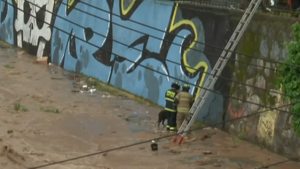 Bomberos rescatan a perritos ante fuerte crecida del caudal del rio Mapocho
