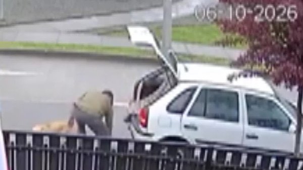 Video: Captan indignante abandono de perrito en plena calle