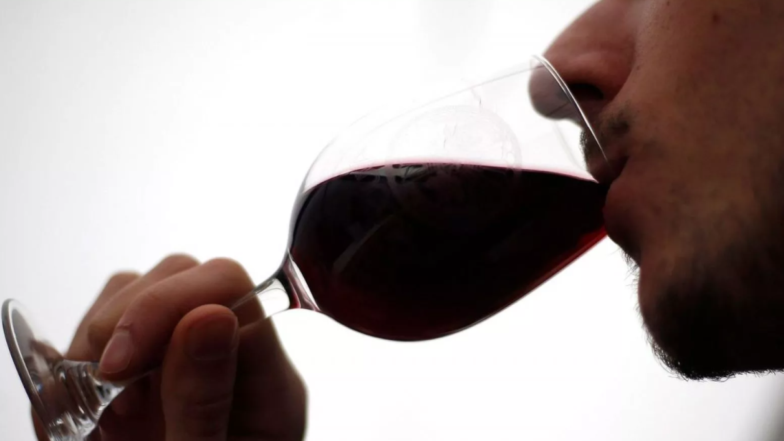 Prestigioso concurso internacional elige al mejor vino tinto de Chile
