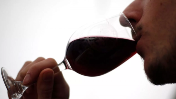 Prestigioso concurso internacional elige al mejor vino tinto de Chile