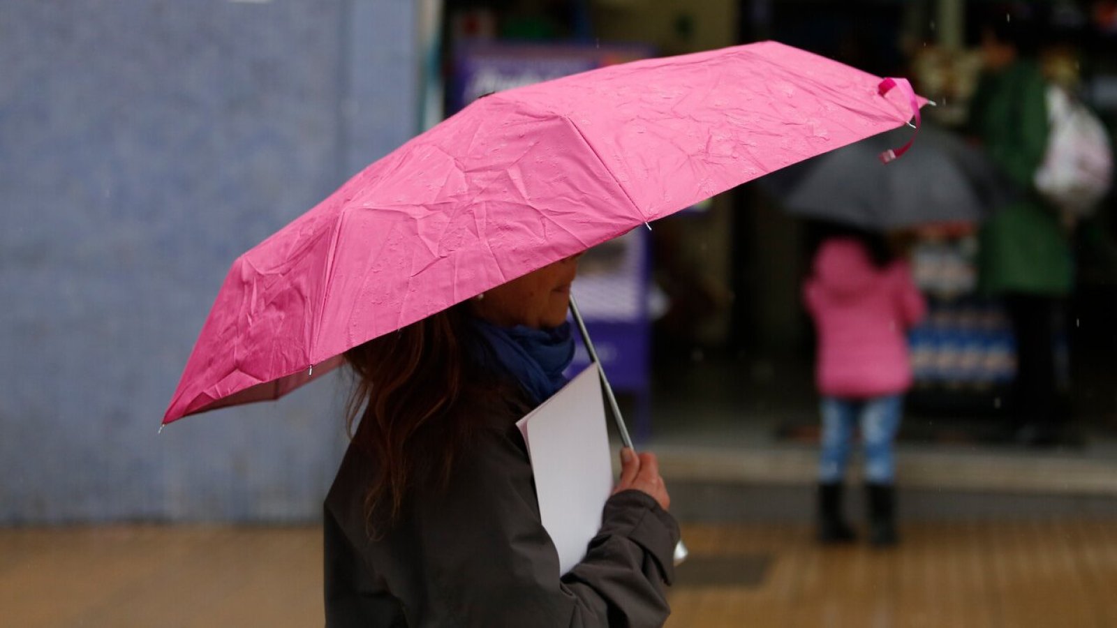 "Aún no llega lo más fuerte de El Niño": Anuncian lluvias hasta fin de año y verano con temperaturas extremas
