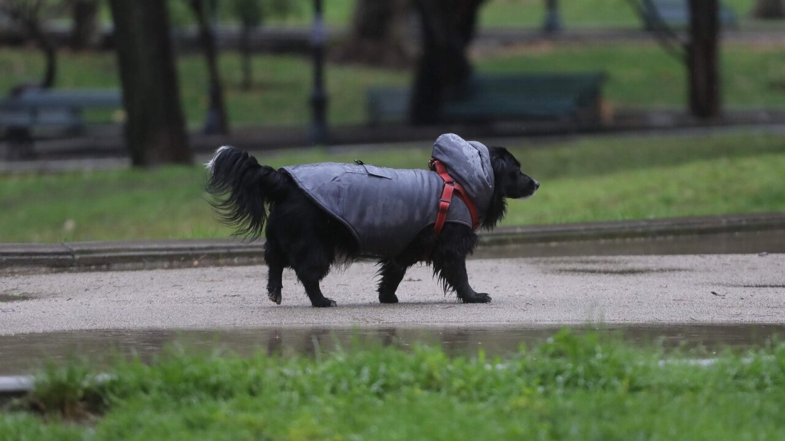 Siguen las lluvias: ¿A qué hora empiezan las precipitaciones en la zona central?
