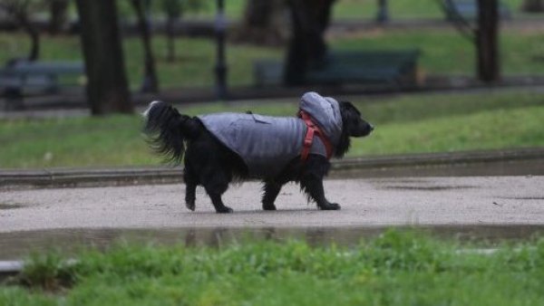 Siguen las lluvias: ¿A qué hora empiezan las precipitaciones en la zona central?