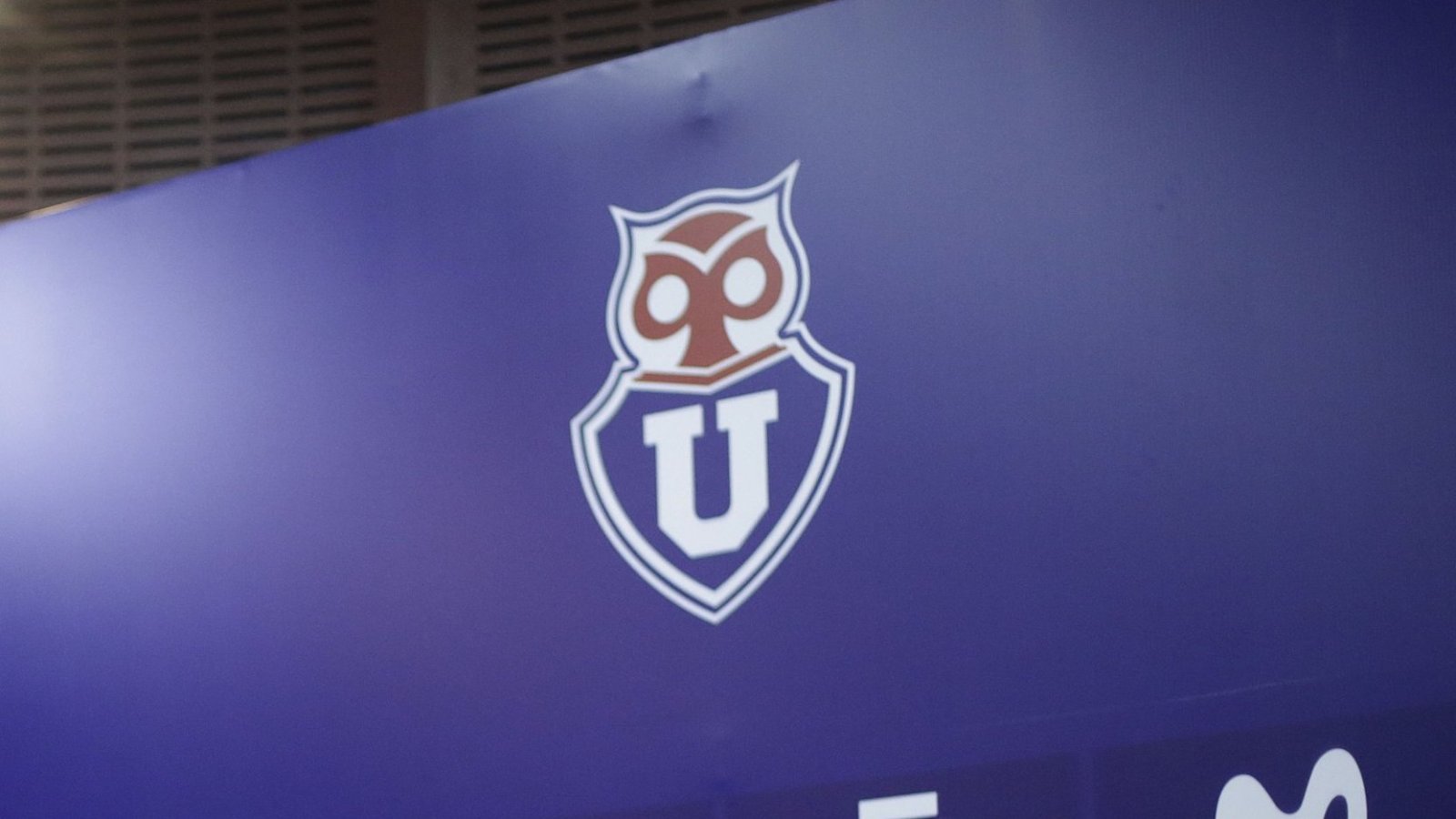 ¿Por qué Leones, Bulla y Chuncho? La historia tras los apodos de Universidad de Chile
