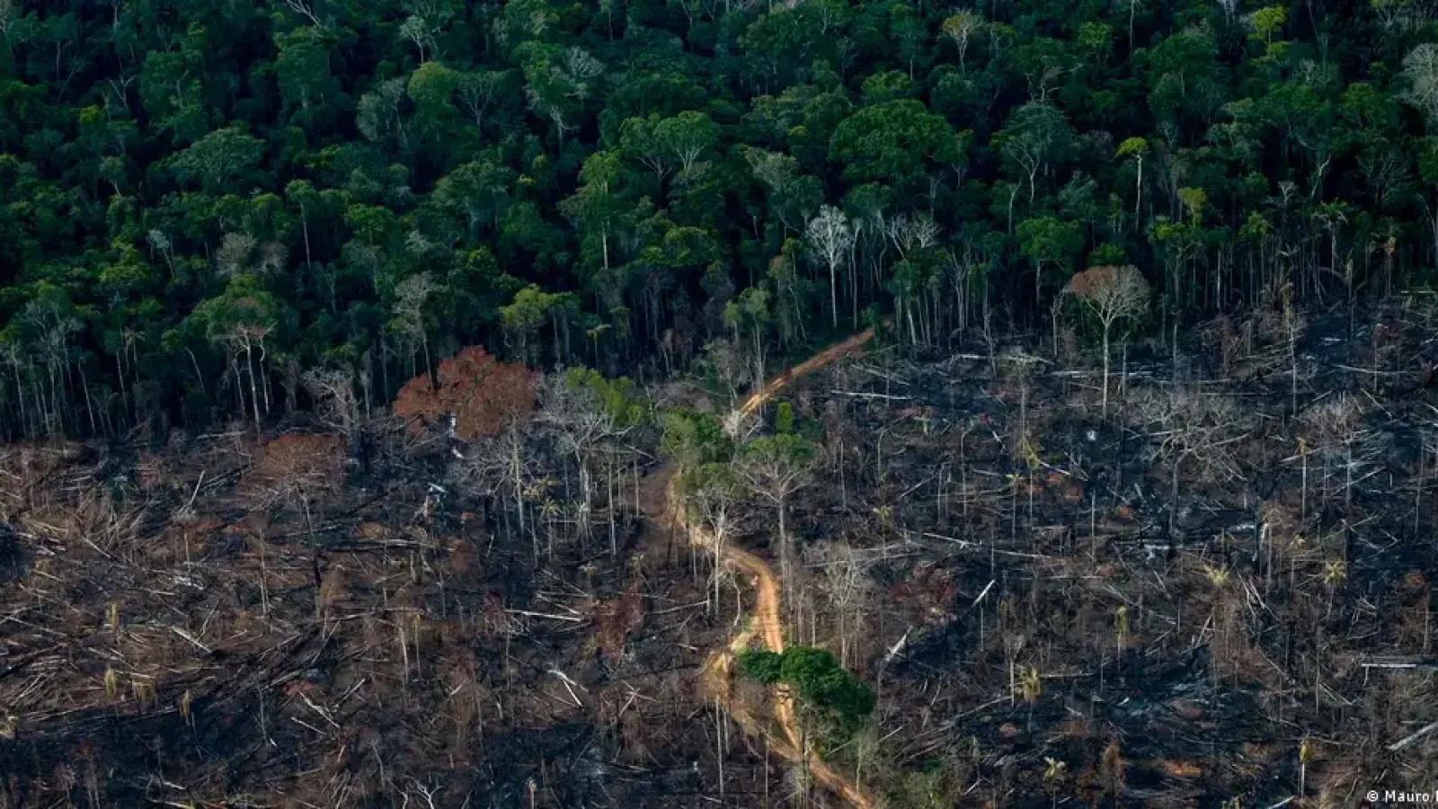 Amazonia de Brasil en su nivel más bajo desde 1988
