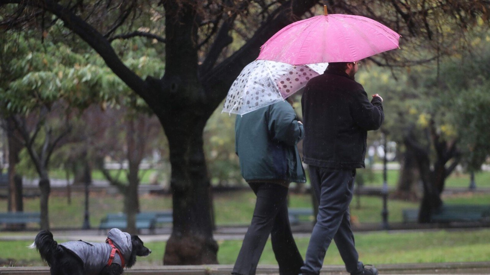 ¿A qué hora será el peak de lluvias de este martes en la zona central?
