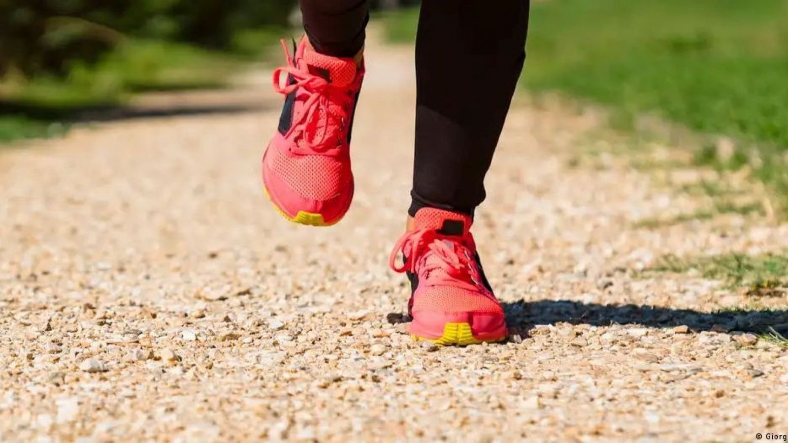 ¿Cuánto cardio necesitamos realmente?: Por qué hacer más no siempre es mejor
