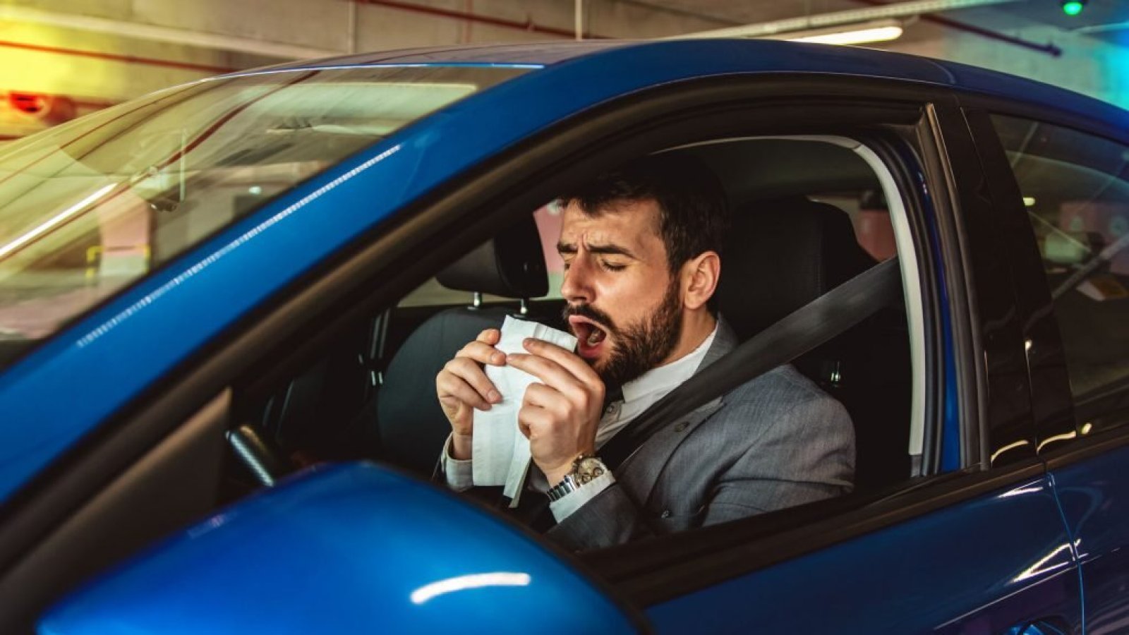 ¿Estornudas apenas te subes al auto? Expertos advierten del factor que puede ser la causa en primavera
