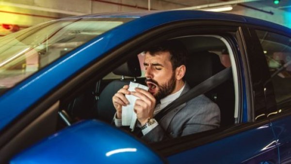¿Estornudas apenas te subes al auto? Expertos advierten del factor que puede ser la causa en primavera