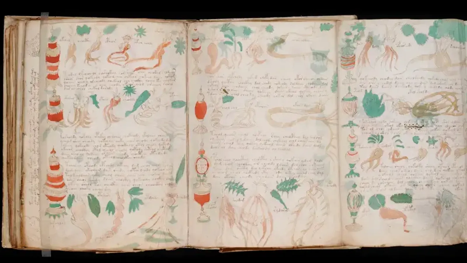 El libro más enigmático lleva 600 años sin leerse: Ahora hay una pista
