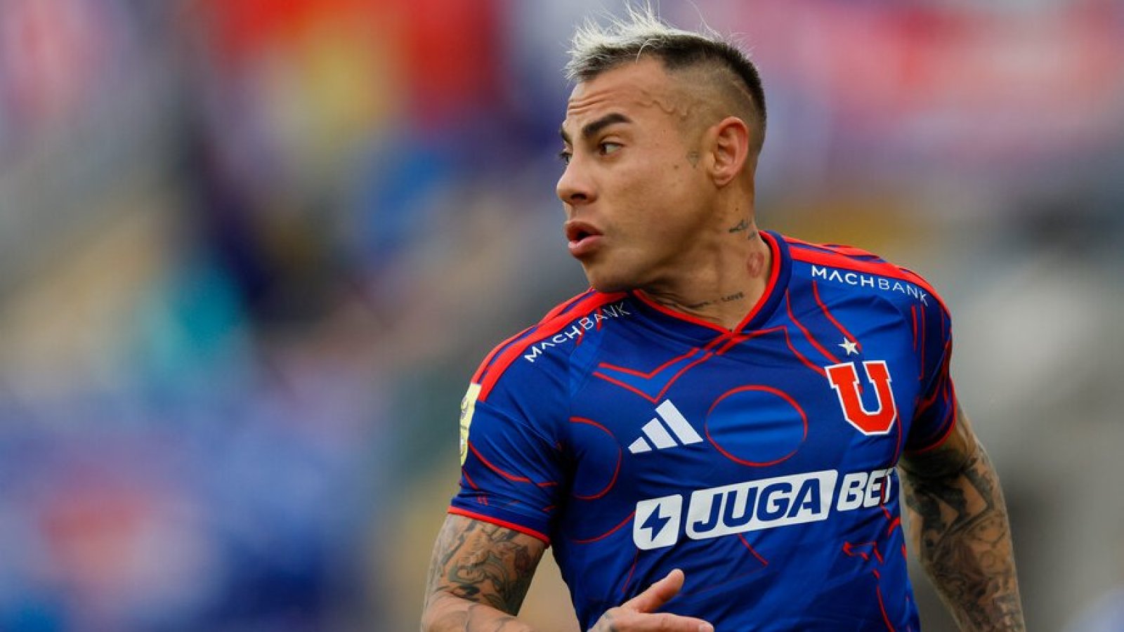 U de Chile vs Everton: ¿A qué hora y dónde ver EN VIVO y ONLINE el partido del Torneo Nacional?
