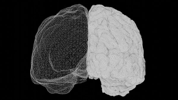 ¿Escribir a mano o teclear? Estudio cerebral explica cuál es la mejor técnica para aprender y recordar