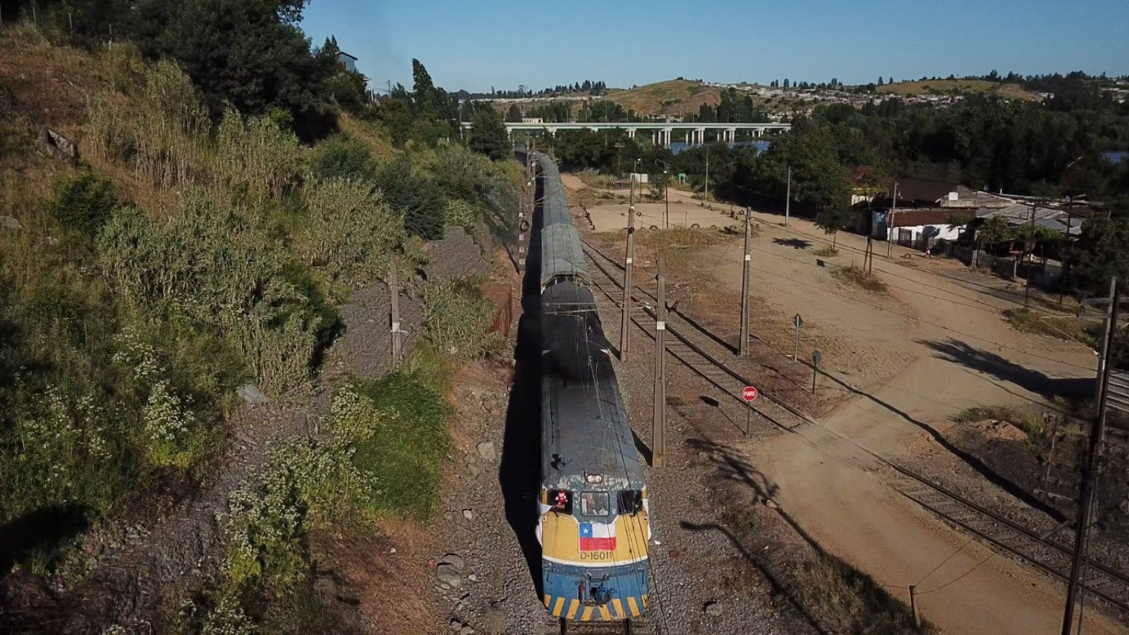Tren de la Teletón atropelló a peatón en Talca: Tuvo lesiones leves y se retiró por sus medios
