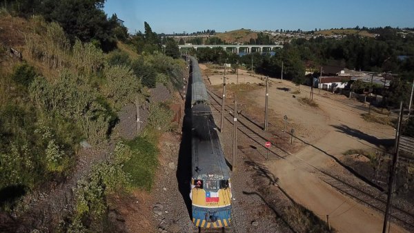 Tren de la Teletón atropelló a peatón en Talca: Tuvo lesiones leves y se retiró por sus medios