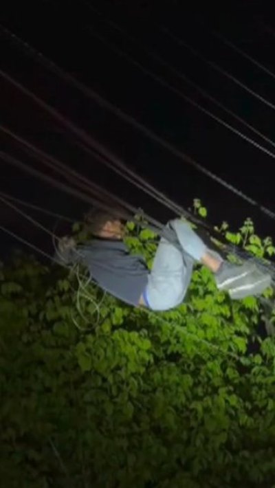 Hombre quedó colgado del tendido eléctrico al intentar robar cámaras en El Bosque